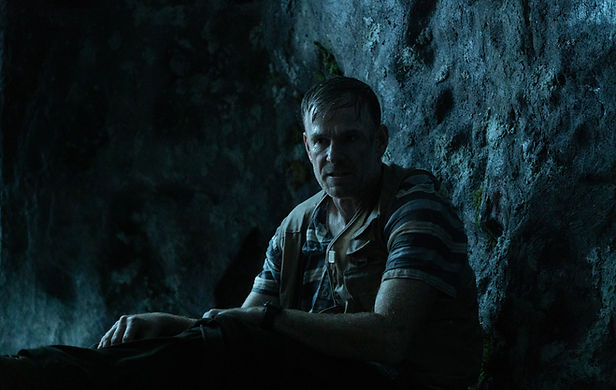 A man stands at the edge of a mountain vista overlooking the Blue Ridge